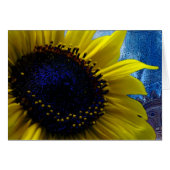 二サンズ (正面横)