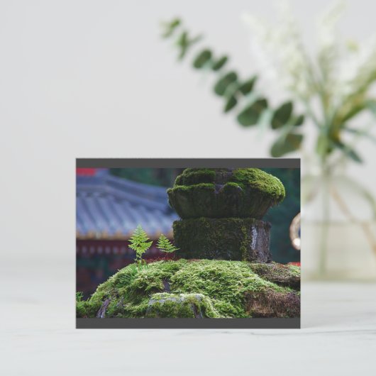 二シダ ポストカード (スタンド正面)