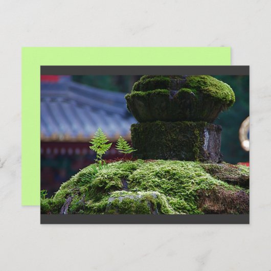 二シダ ポストカード (正面/裏面)