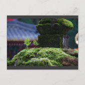 二シダ ポストカード (正面)