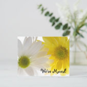 二デイジー住所の変更 案内ポストカード (スタンド正面)