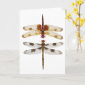 二トンボ互いに見て カード (黄色い花)