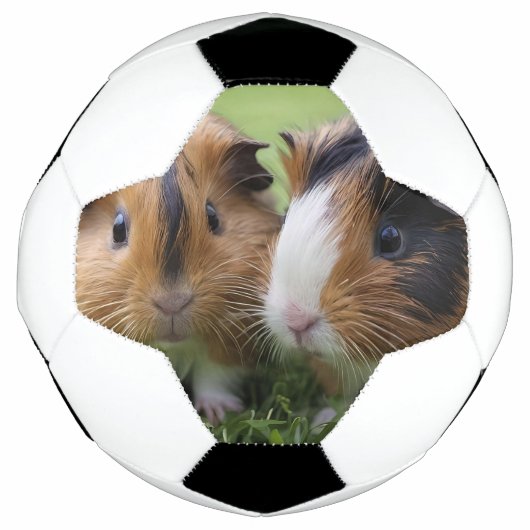 二ベビーの亀の甲（ほ）モルモット サッカーボール (正面)