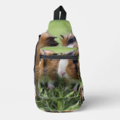 二ベビーの亀の甲（ほ）モルモット スリングバッグ (正面)