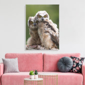 二ベビー素晴らし角フクロウ キャンバスプリント (インサイチュ (リビング))