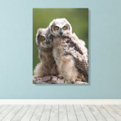 二ベビー素晴らし角フクロウ キャンバスプリント (インサイチュ (ウッドフロア))