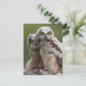 二ベビー素晴らし角フクロウ ポストカード (スタンド正面)