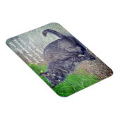 二世猫やる気を起こさせる引用文 マグネット (右側)