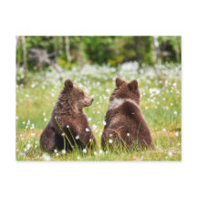 二人の友人がはがきを出す