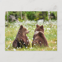 二人の友人がはがきを出す ポストカード