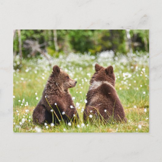 二人の友人がはがきを出す ポストカード (正面)