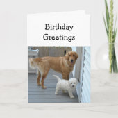 二人の愛犬のユーモアの中から誕生日のお祝い カード (正面)