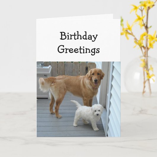 二人の愛犬のユーモアの中から誕生日のお祝い カード (黄色い花)