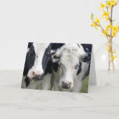 二人の牛が顔を上げて挨拶をする。 カード (黄色い花)
