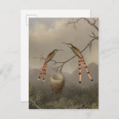 二人の若いハチドリ ポストカード (正面/裏面)