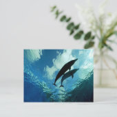 二匹のイルカが一緒に人生を歩む ポストカード (スタンド正面)