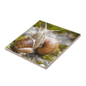 二匹のカタツムリ タイル (側面)