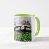 二匹のカメ食べ物を与えズ マグカップ (正面右)