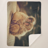 二匹のサル シェルパブランケット (正面)