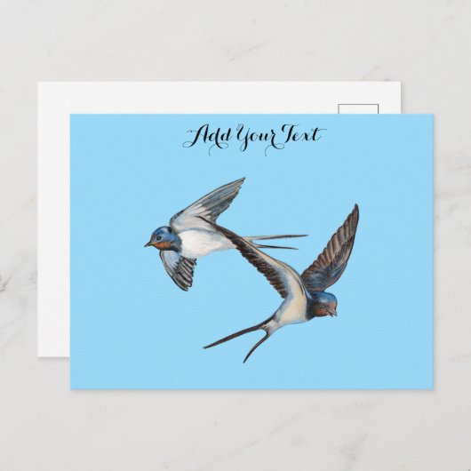 二匹のツバメが飛ぶ - オーダーメイド ポストカード (正面/裏面)