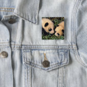 二匹のパンダのカブを竹の茂みの中に置き、臥龍。 缶バッジ (インサイチュ)