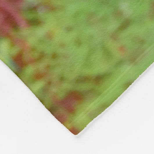 二匹の犬が一匹のパコとボストンテリアが一台の荷車に乗っている フリースブランケット (角)