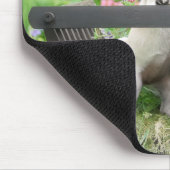 二匹の犬が一匹のパコとボストンテリアが一台の荷車に乗っている マウスパッド (コーナー)