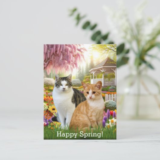 二匹の猫がいる美しい渦巻き園 ポストカード (スタンド正面)