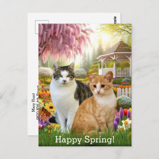 二匹の猫がいる美しい渦巻き園 ポストカード (正面/裏面)