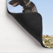 二匹の若い犬が向かい合って見ていた。 マウスパッド (コーナー)