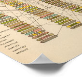 二十二都市の階級 ポスター (角)