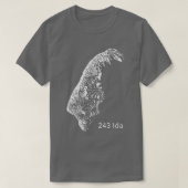 二四三井田 Tシャツ (デザイン正面)