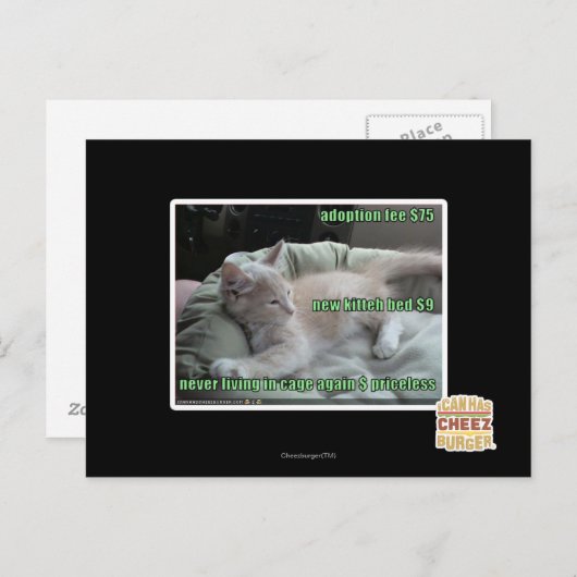 二度と檻の中に住まない ポストカード (正面/裏面)