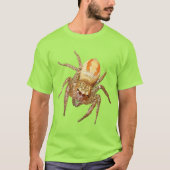 二形性のハエトリグモ (Maevia inclemens) Tシャツ (正面)