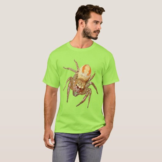 二形性のハエトリグモ (Maevia inclemens) Tシャツ (正面フル)
