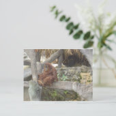 二日酔いで ポストカード (スタンド正面)