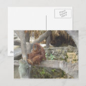 二日酔いで ポストカード (正面/裏面)