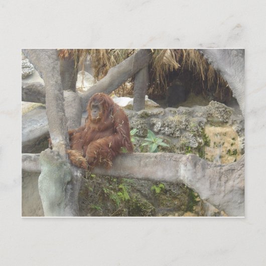 二日酔いで ポストカード (正面)