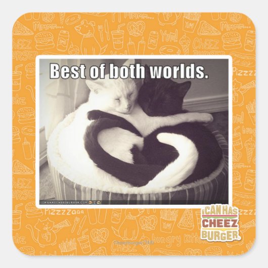 二最高のつの世界の スクエアシール (正面)