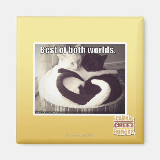 二最高のつの世界の マグネット (正面)