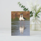 二本の脚が丸く曲がっている ポストカード (スタンド正面)