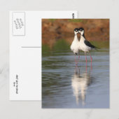 二本の脚が丸く曲がっている ポストカード (正面/裏面)