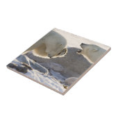 二極熊 タイル (側面)