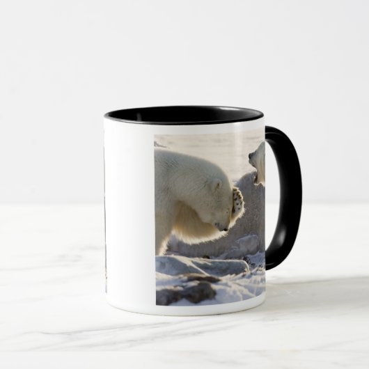 二極熊 マグカップ (正面右)