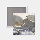 二極熊 マグネット (正面/裏面)