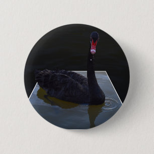 二次元の池に泳ぐ黒い白鳥 缶バッジ