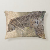 二生児ピロー アクセントクッション (正面)