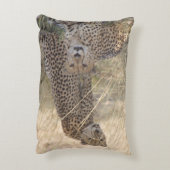 二生児ピロー アクセントクッション (裏面(縦))