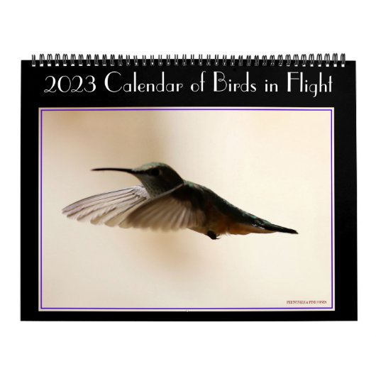 二百二十飛行中の鳥の暦 カレンダー (カバー)