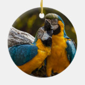 二羽のオウム 熱帯の鳥 セラミックオーナメント (裏面)